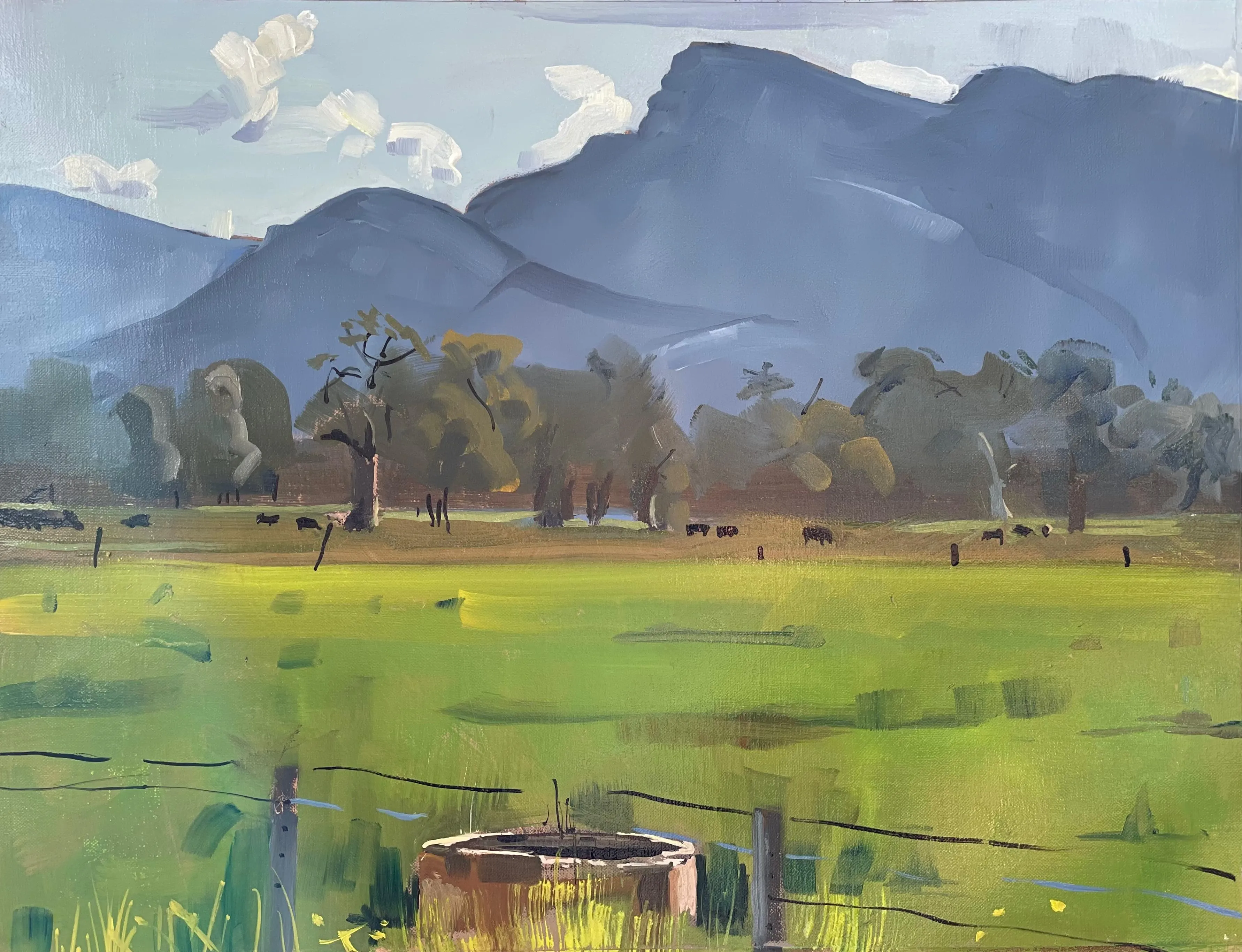 Pastoral, the Grampians near Pomonal